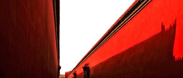 Photo by Zhipeng Ya on Unsplash